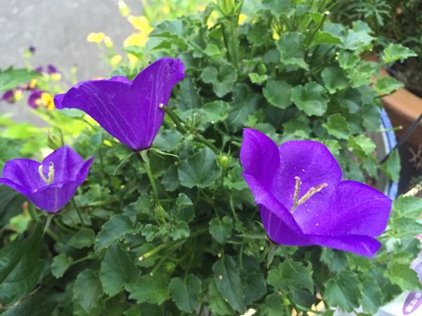 rblog-20160529204936-05.jpg