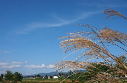 ちひろ美術館 (7)