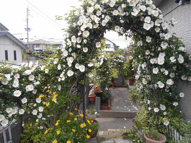 DSCN0287.JPG