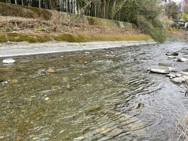 21年渓流初釣り 桂川水系支流にて 奥多摩トラウト 房総ソルトルアー入門 猫の保護活動もやってるよ 楽天ブログ