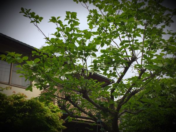 rblog-20160426010130-04.jpg