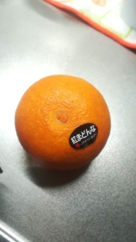 rblog-20181224103641-00.jpg