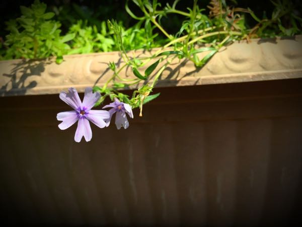 rblog-20160430181122-10.jpg
