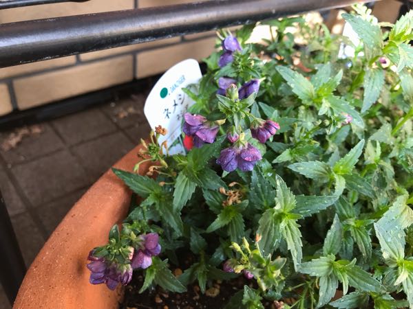 rblog-20190401164419-01.jpg