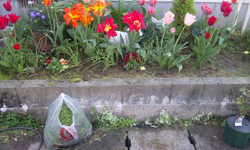 150502_1150~01.jpg