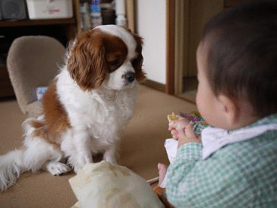 駆け引き上手？