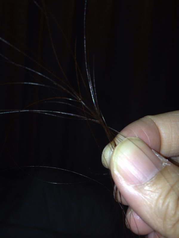 rblog-20140305194714-01.jpg