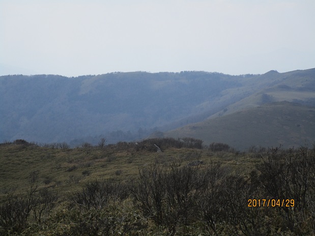 IMG_8150.JPG