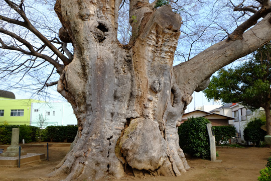 2016 03 29_2044.jpg