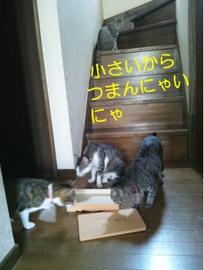 20120902_3.jpg