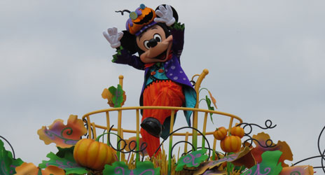 2015HHHarvest40