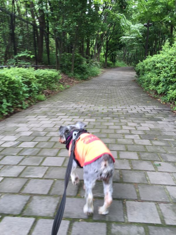 rblog-20160529053651-02.jpg