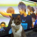 テレビの前に陣取る福２