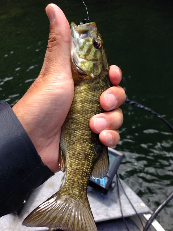 rblog-20140623230229-01.jpg