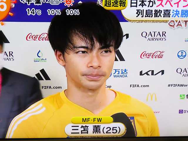 1ミリの奇跡・VAR判定 三苫選手のボール折り返し | 星とカワセミ好き