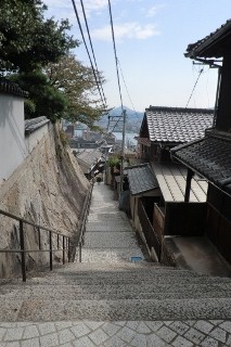 CIMG1074 (320x213).jpg
