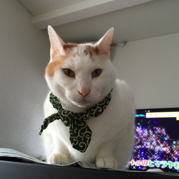 rblog-20141208063346-01.jpg