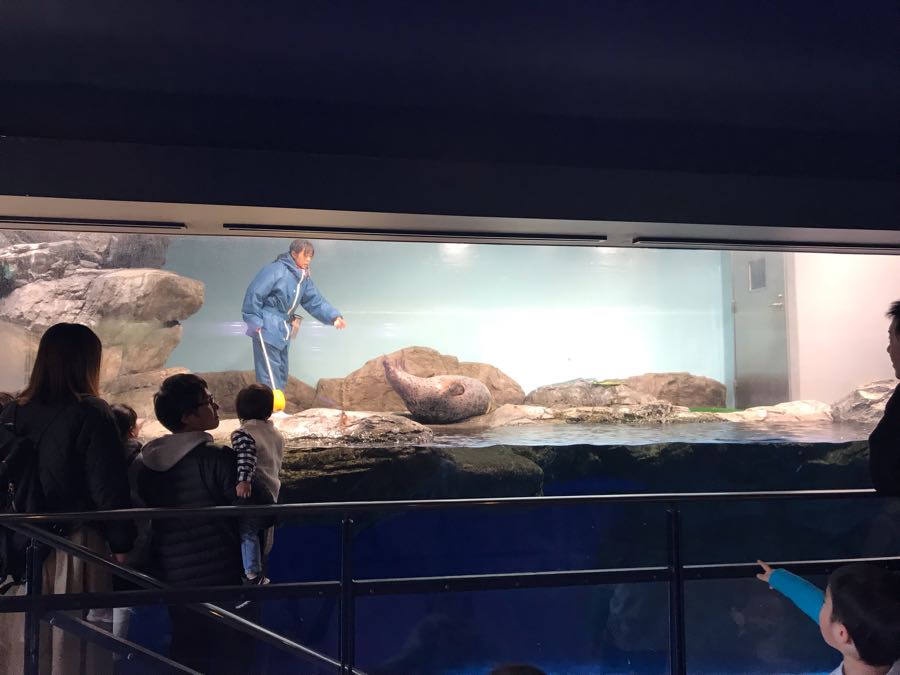 rblog-20190113190641-01.jpg