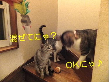 20121114_5.jpg
