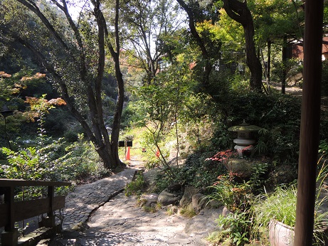 DSCN6574.JPG