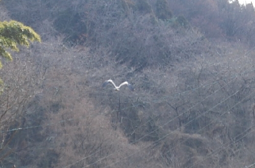 DSC_0048.JPG
