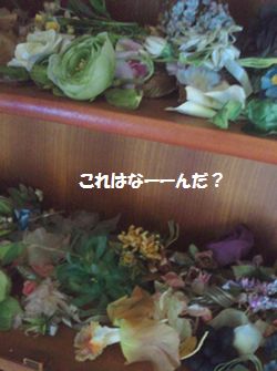 2012080316090000.jpg