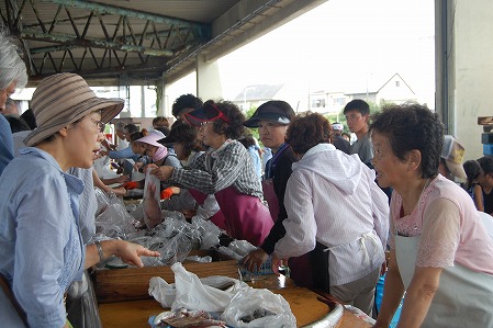 s-DSC_0491.jpg