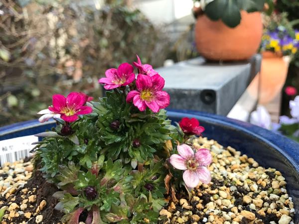 rblog-20170223222527-07.jpg
