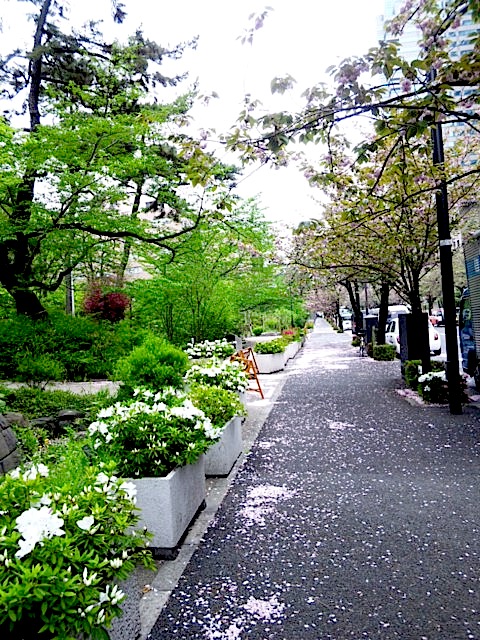 120426_134025.jpg