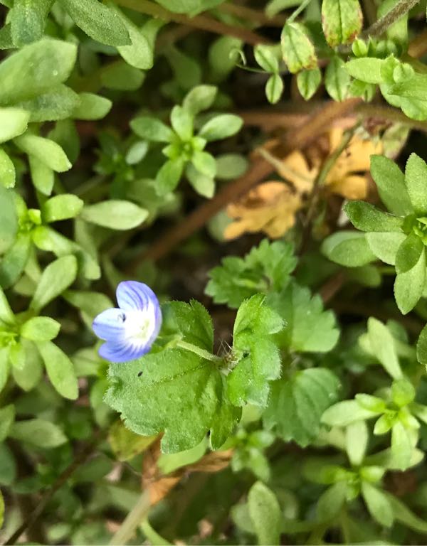 rblog-20180408161916-00.jpg