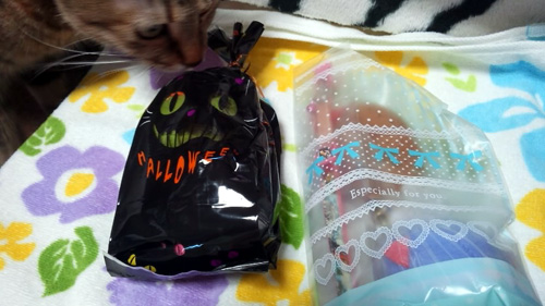 141020-nyamilystore1