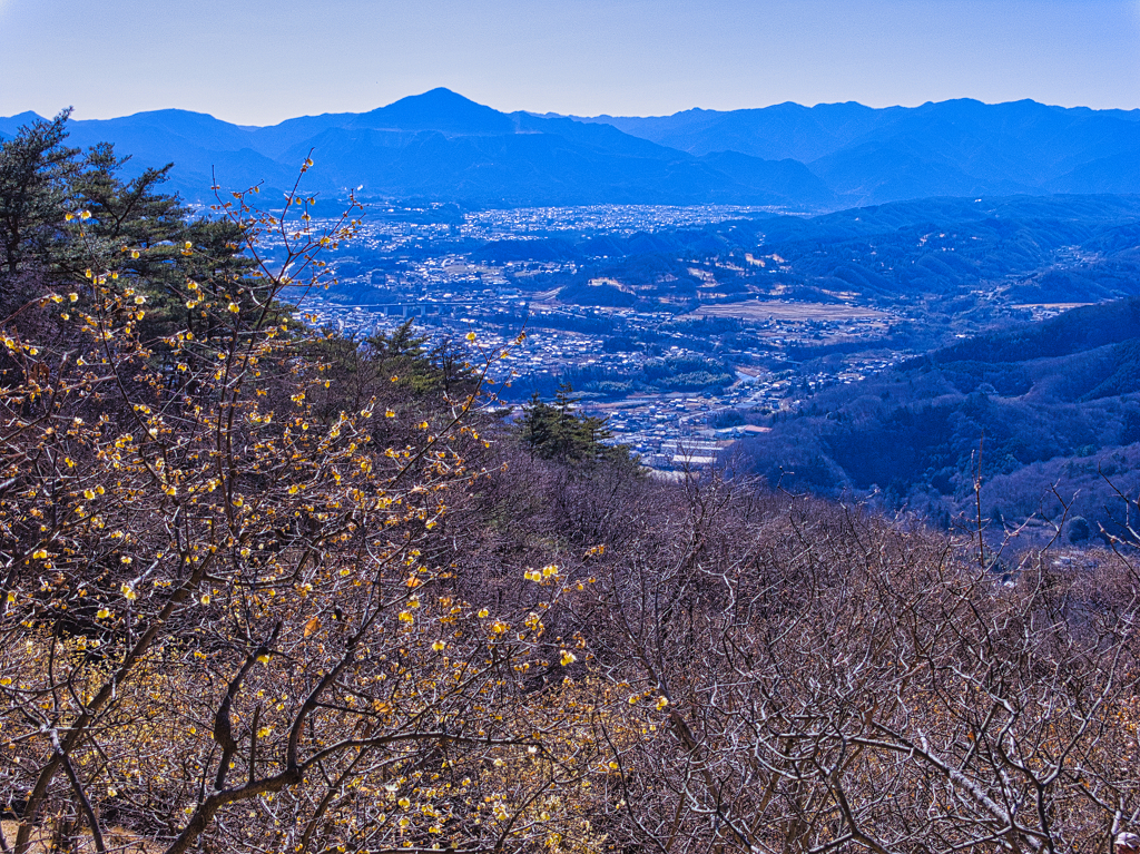 宝登山 | いちにち いちまい - 楽天ブログ