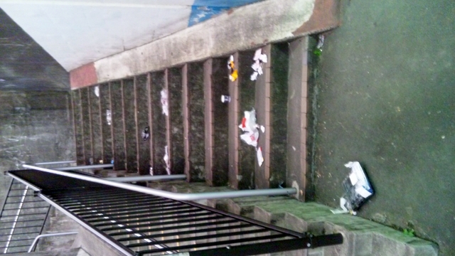 SH3J0877 (640x360).jpg