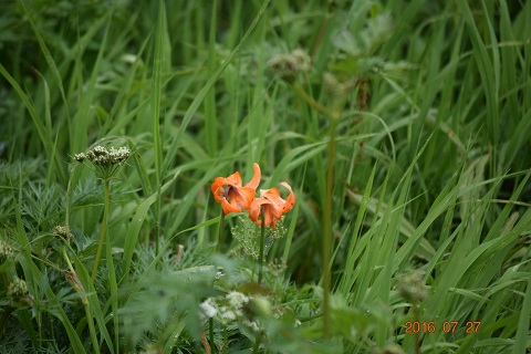 DSC_0019.JPG