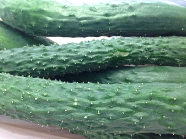 rblog-20160703201139-04.jpg