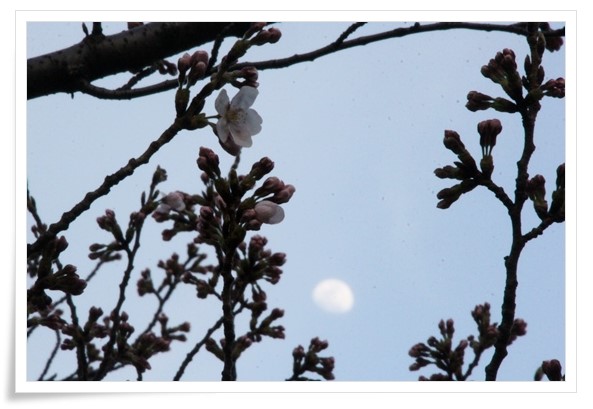 金沢地方気象台-4 15.3.31