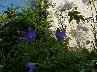 P1210853ss.jpg