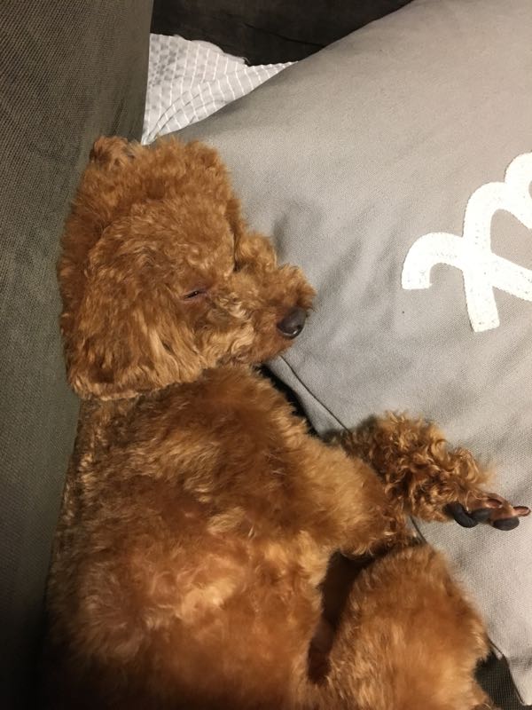 rblog-20180616160957-01.jpg