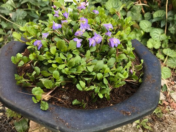 rblog-20190324174020-06.jpg