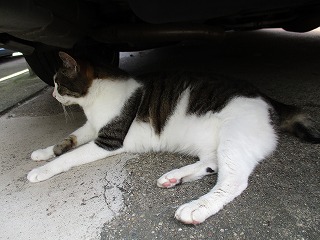 IMG_5462ss.jpg