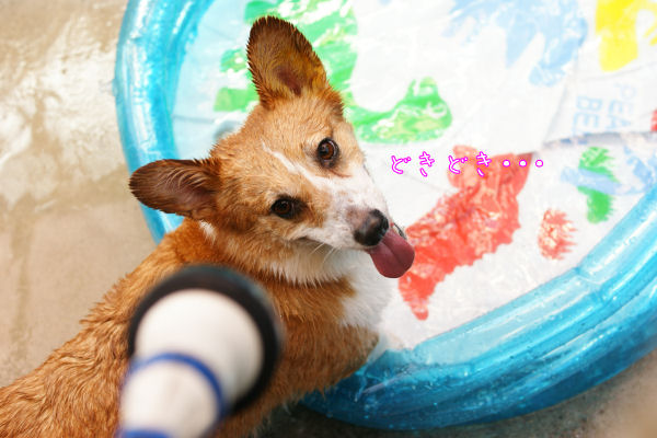 水遊び-3.JPG