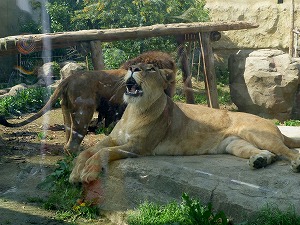 20120428(37).jpg