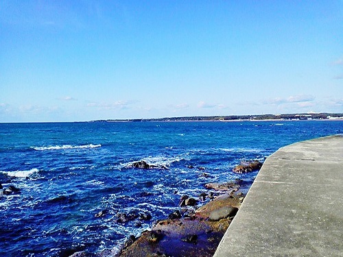 P1001040 (500x375).jpg