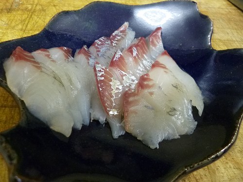 P1030106.jpg