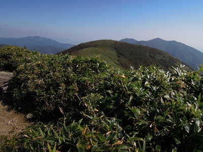 DSCN6193s.jpg