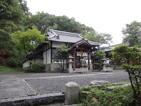 DSC09187.JPG