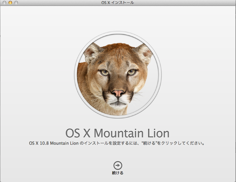 Mountain Lion Install