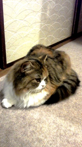 20131112162211.jpg