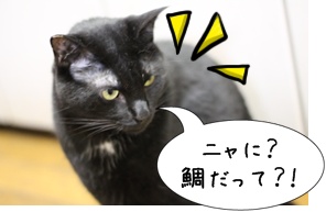 画像 2482.jpg