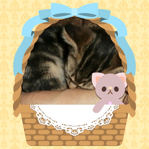 まめ.jpg